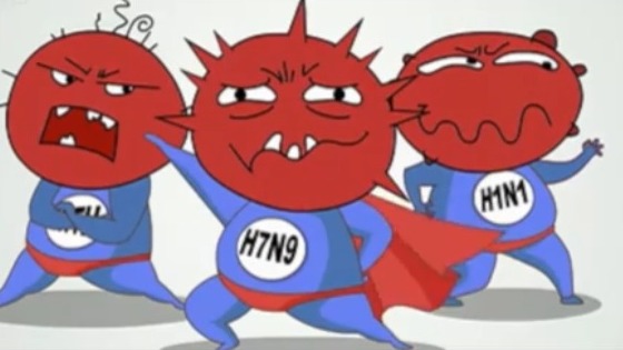 详解禽流感病毒，名称中的H和N分别代表什么？
