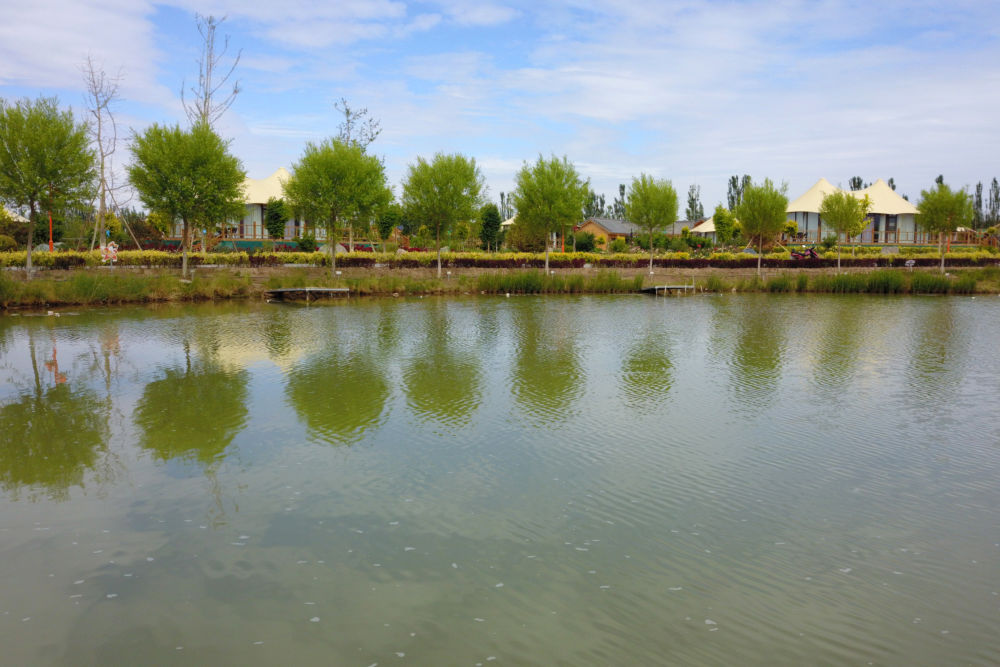 这是6月16日在临泽县拍摄的水系连通项目中打通的梨园河东河水系（无人机照片）新华社记者 范培珅 摄