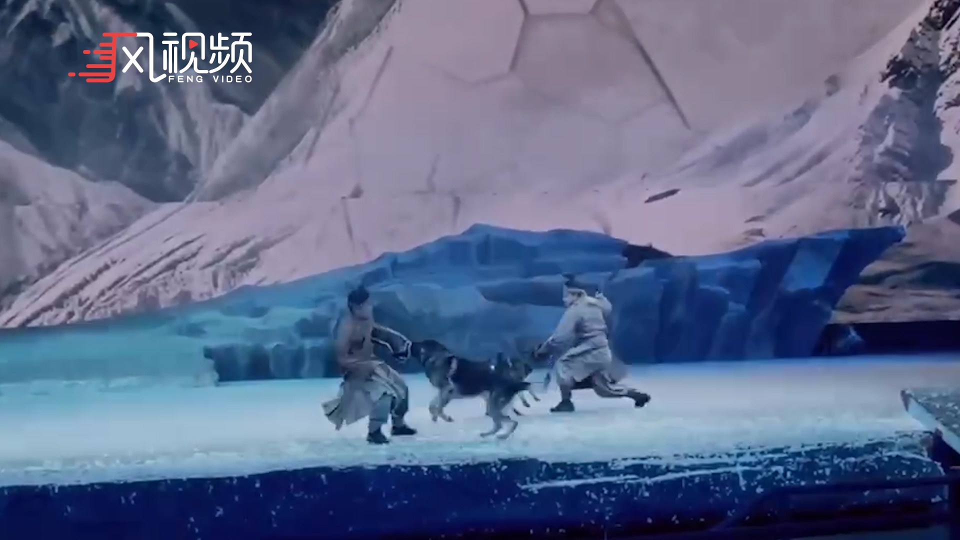西安一剧场演出群狼冲出扑倒演员，观众尖叫不断！工作人员：是真狼