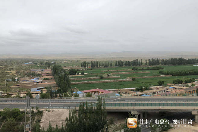 40年沙漠变绿洲 "六老汉"三代人用坚守筑"绿色长城"