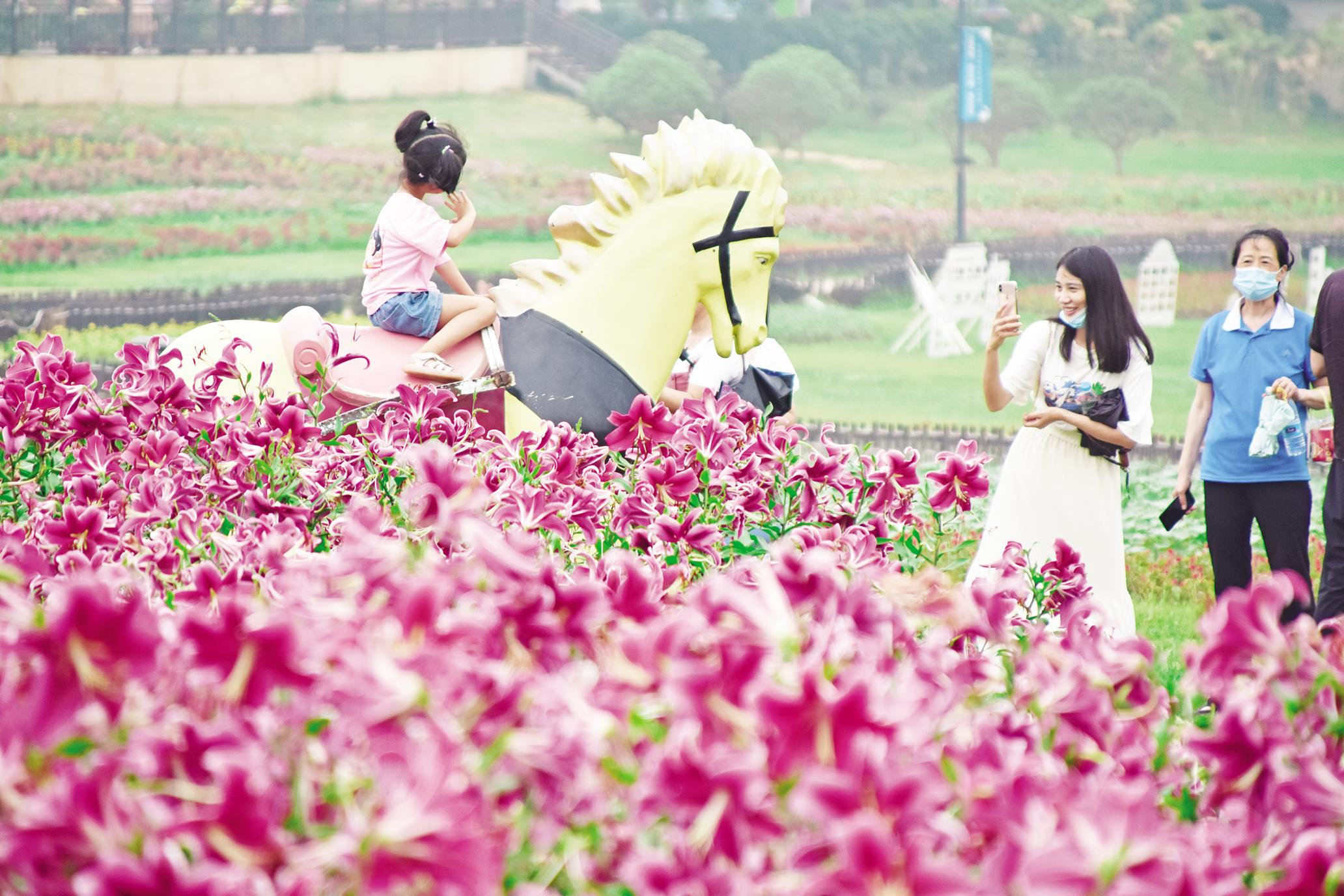 端午节假期首日非遗游 红色游聚人气 凤凰网