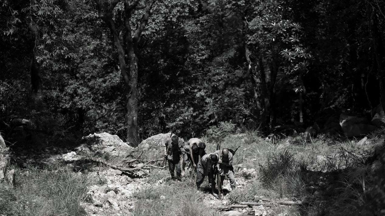 剧照。片方供图