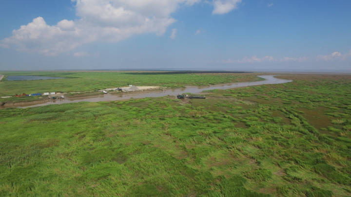 2003年,杭州湾还是大片的滩涂(资料图)