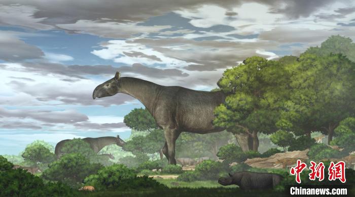 “临夏巨犀”在渐新世晚期的生态复原图(陈瑜/绘)。　中科院古脊椎所 供图