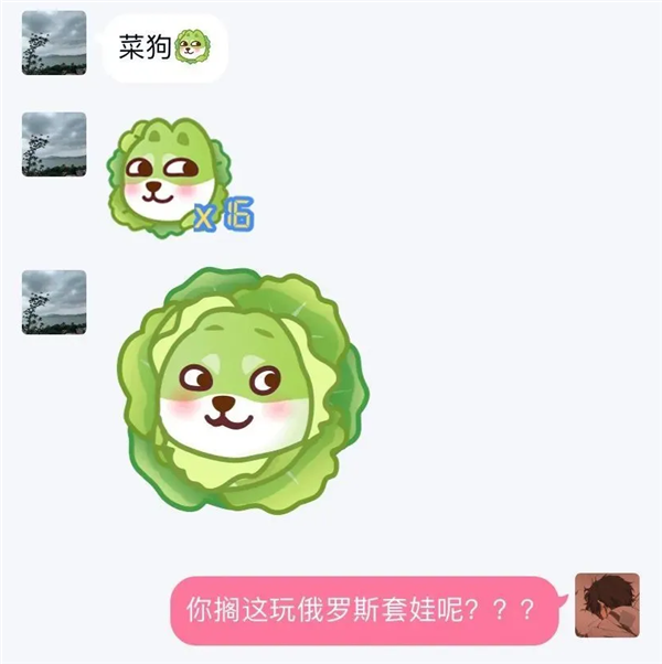 菜汪变色表情包图片