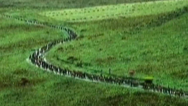 历史学者：喀什噶尔当时为何会成为喀喇汗王朝的统治中心？