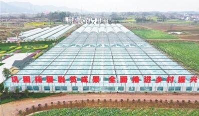 扶贫产业基地（彭泽县融媒体中心供图）