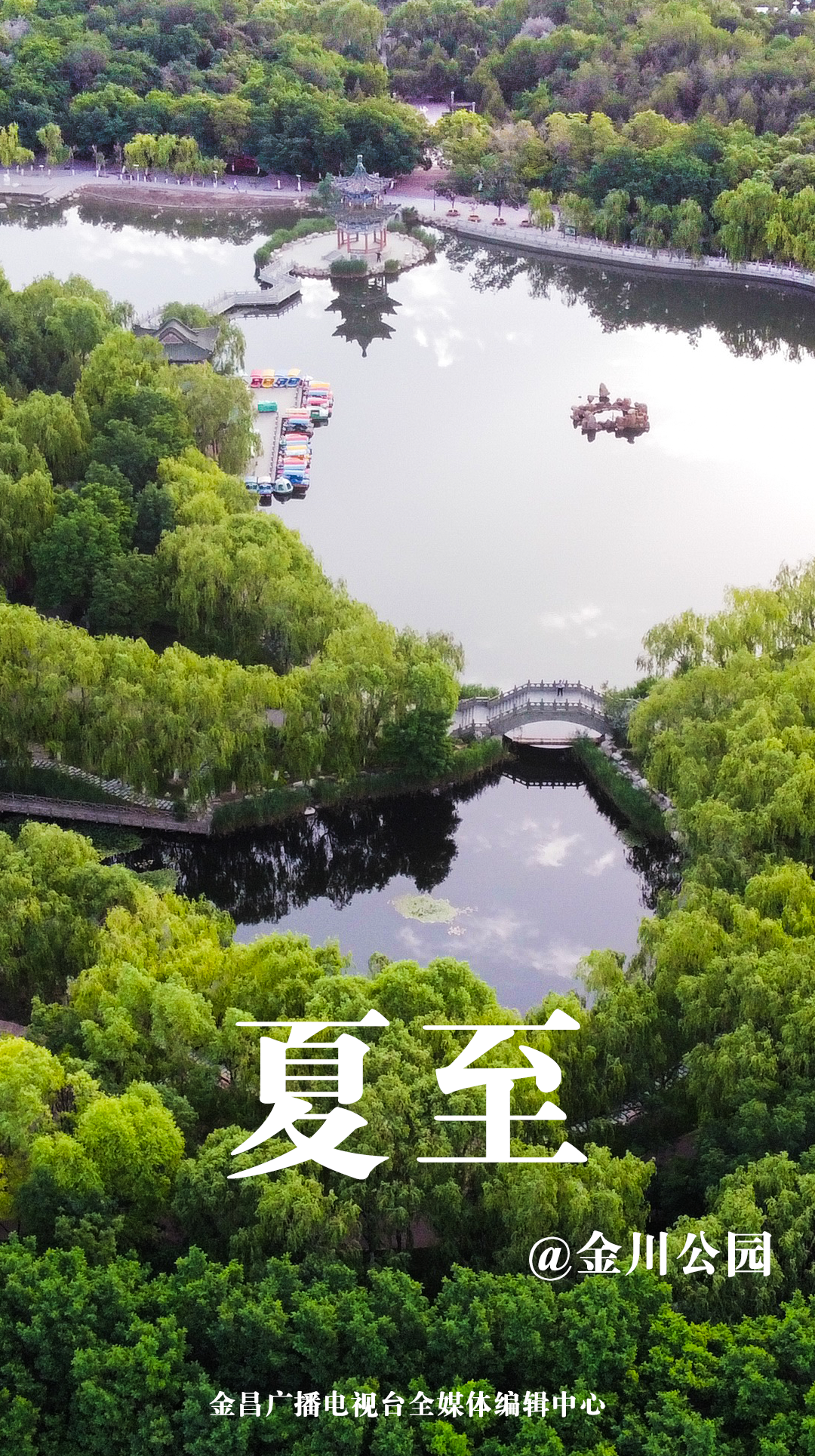 夏至已至!金川公园美景安抚你的小焦躁
