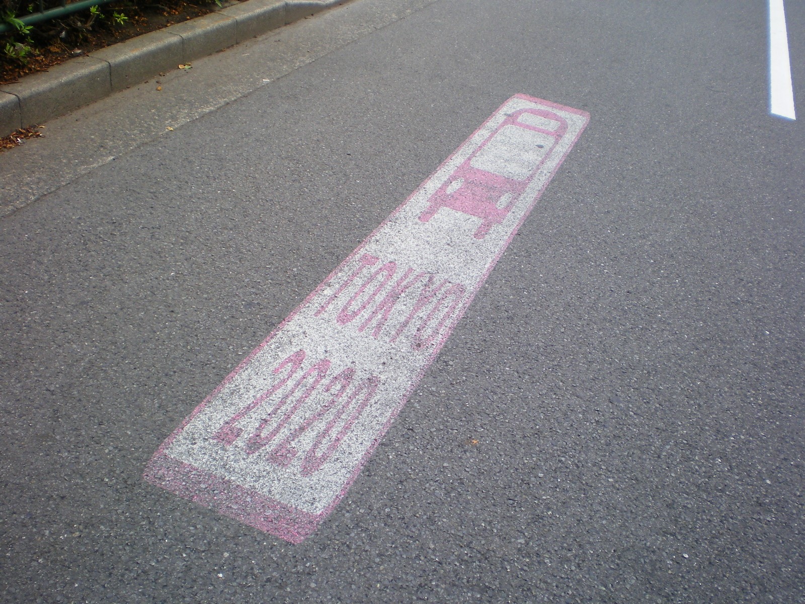 东京街道地面上印有东京2020字样的行车标识。受访者供图