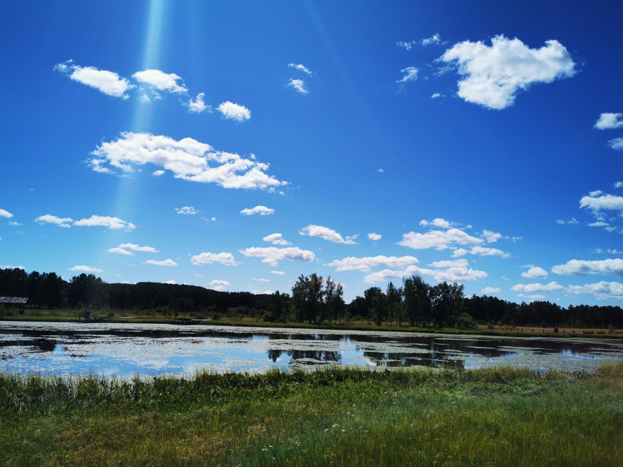 御道口草原森林风景区|夏季里的悠闲惬意凤凰网河北_凤凰网