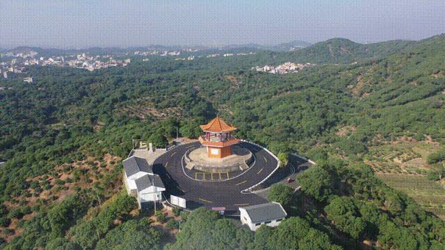 △“大唐荔乡”高州吸引了不少游客前往。