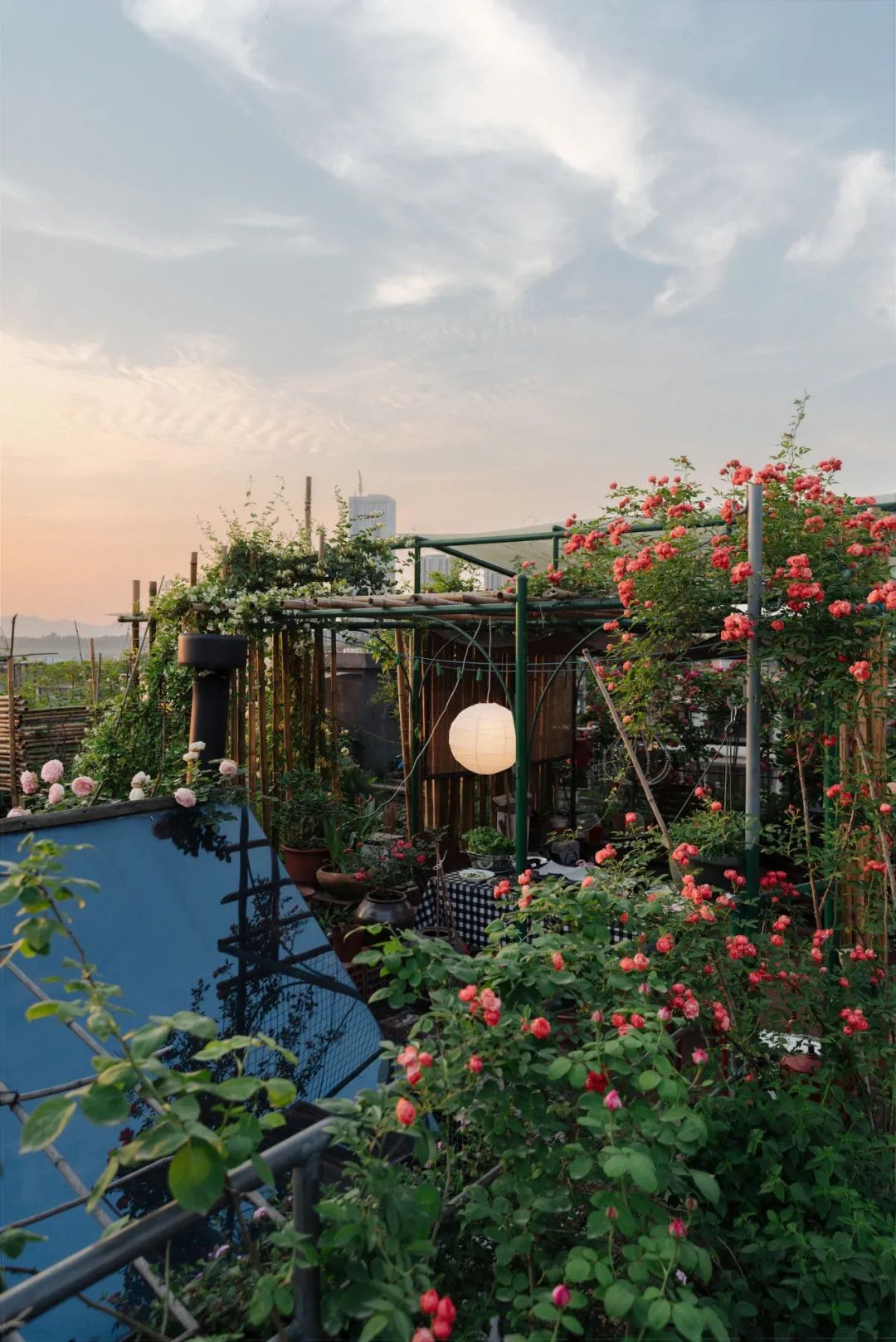 看完他们在家diy的屋顶花园,瞬间找到替代躺平的人生目标