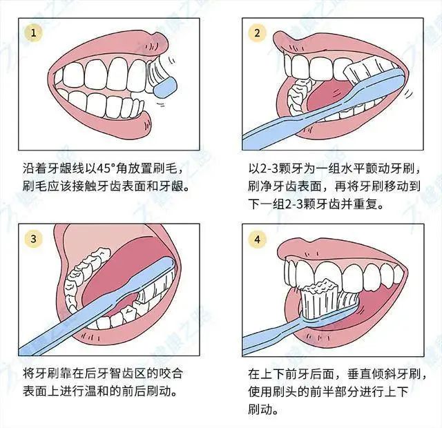 一支牙刷打开新世界 宽头设计 一次能刷两排牙 柔软不伤牙龈 凤凰网