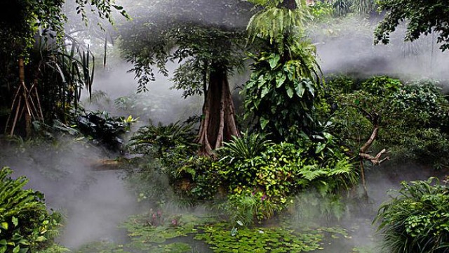 热带雨林是疾病专家最头痛的区域，这里孕育的生命与病菌通常让人不可置信