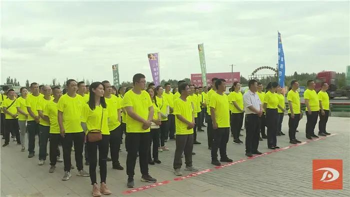 水果之王抢“鲜”上市 敦煌把“杏”福寄往全国各地