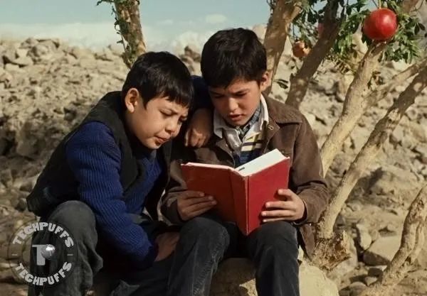 ▎ 图 /著名小说《追风筝的人》中,阿米尔和哈桑的境遇分别代表了