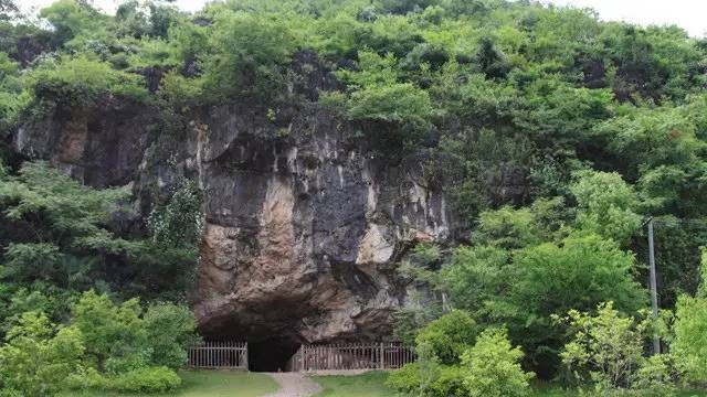 玉蟾岩出土人工栽培稻标本，刷新人类最早栽培水稻的纪录