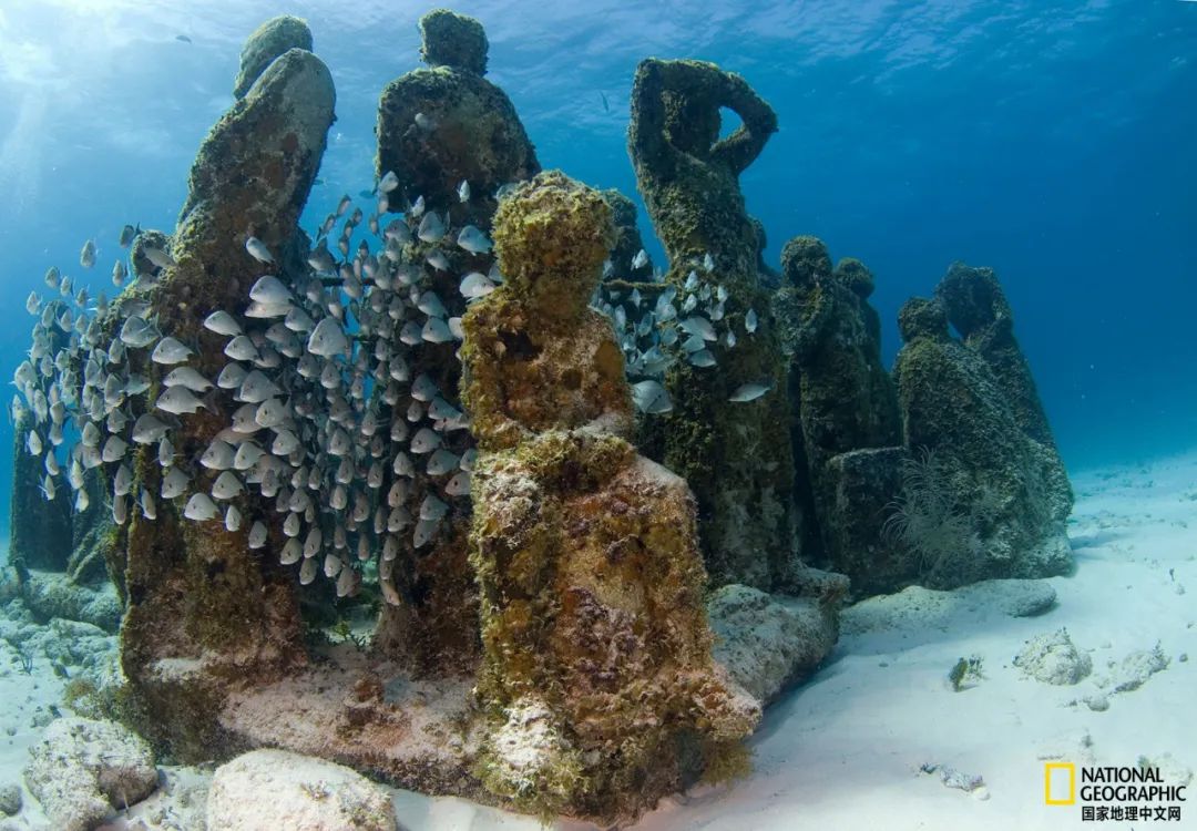Located in Cancun, Mexico, the world's largest underwater sculpture museum, there is no wall, no roof, as many as 400 sculpture exhibits scattered on this sea floor.  Photograph of this picture: LUIS JAVIER SANDOVAL, VWPICS/REDUX