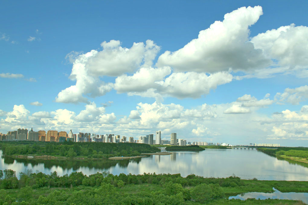 夏天的哈尔滨气温怡人,松花江畔湿地风光旖旎,草地,繁华,江水,白云