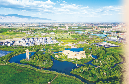 黑河甘州湿地 新甘肃·甘肃经济日报记者 瞿娟 摄