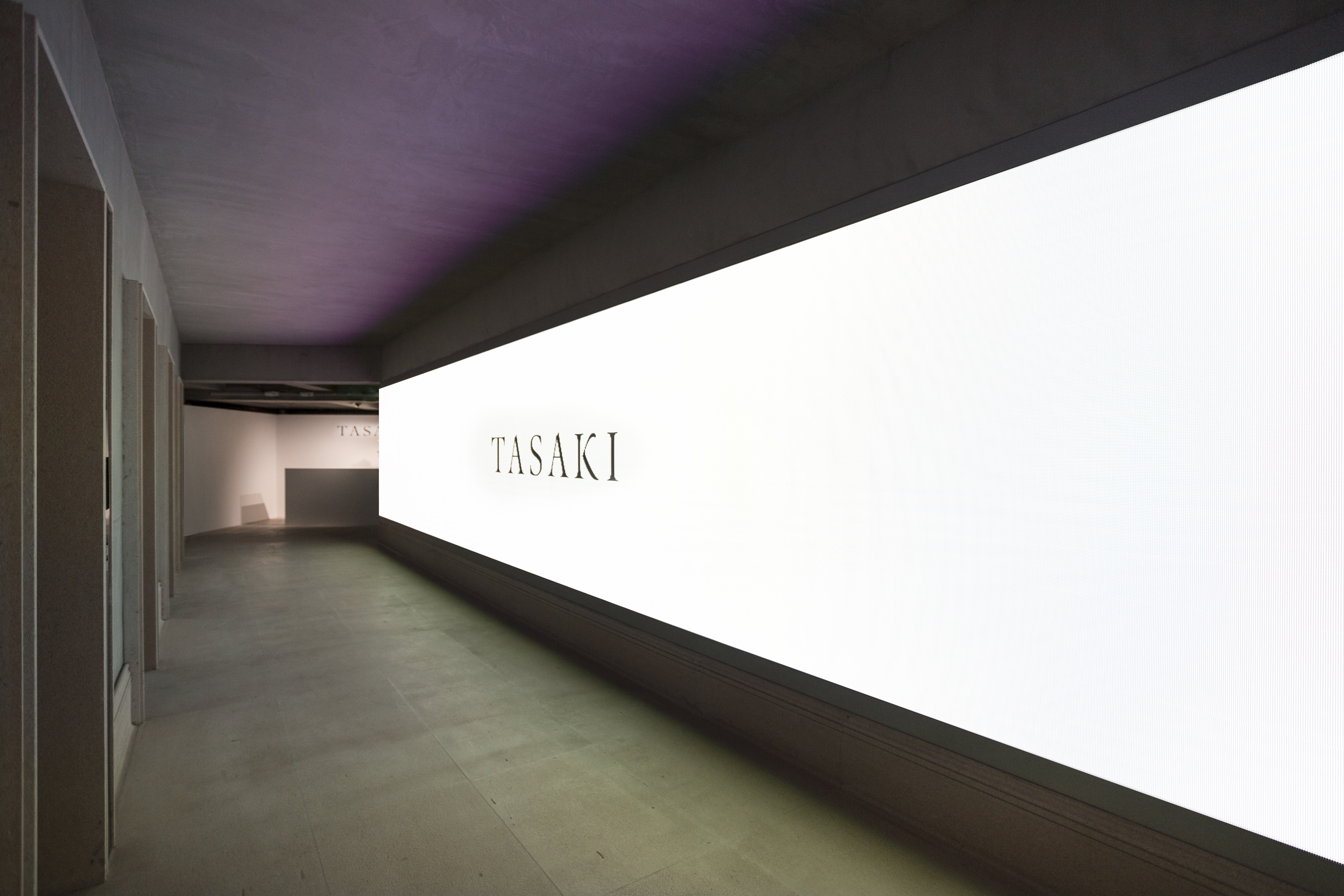 丁香色-组合，十六进制代码-Shutterstock, image size:5760x3840