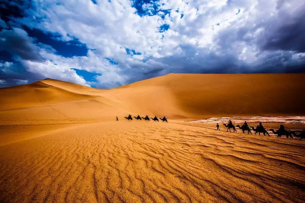 民勤骆驼客大帮响铃走天下丝路驼道写诗史