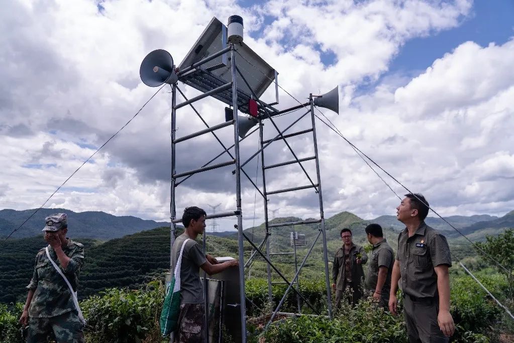 The loudspeaker on Chashan will alert the surrounding villagers once it detects the presence of wild elephants