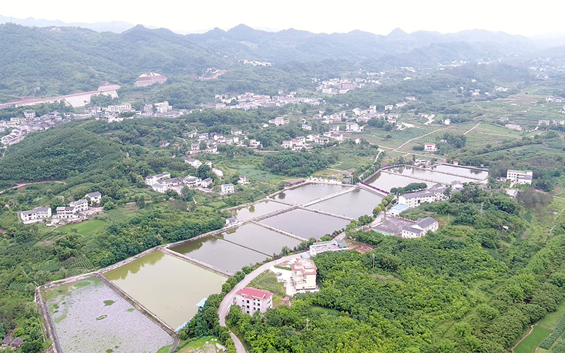 中华村。綦江区委宣传部供图