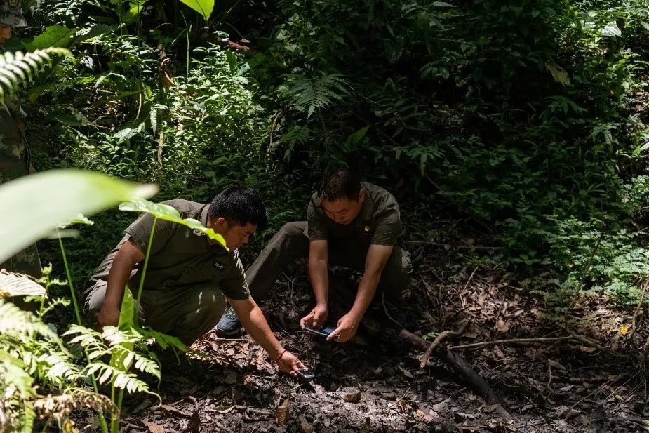 Wang Bin and his colleagues conducted monitoring records in the "nitrate pond"