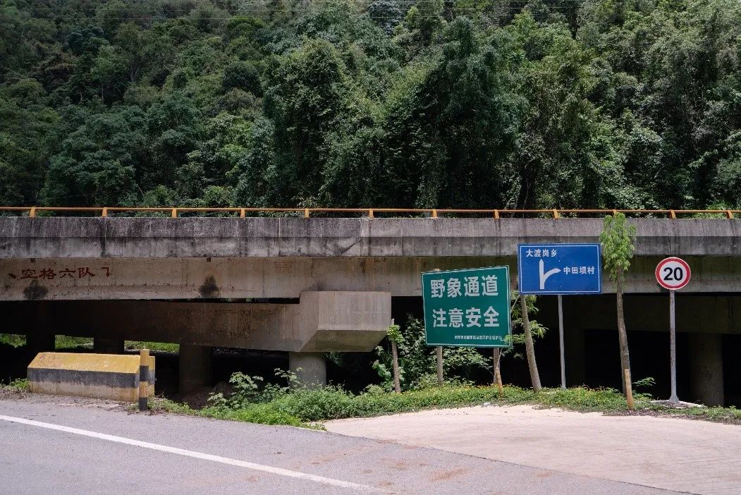 Next to the village road, a sign marked the location of the elephant passage