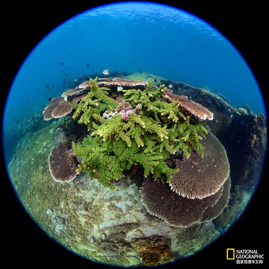 Hainan’s Fenjiezhou Island can’t hide!