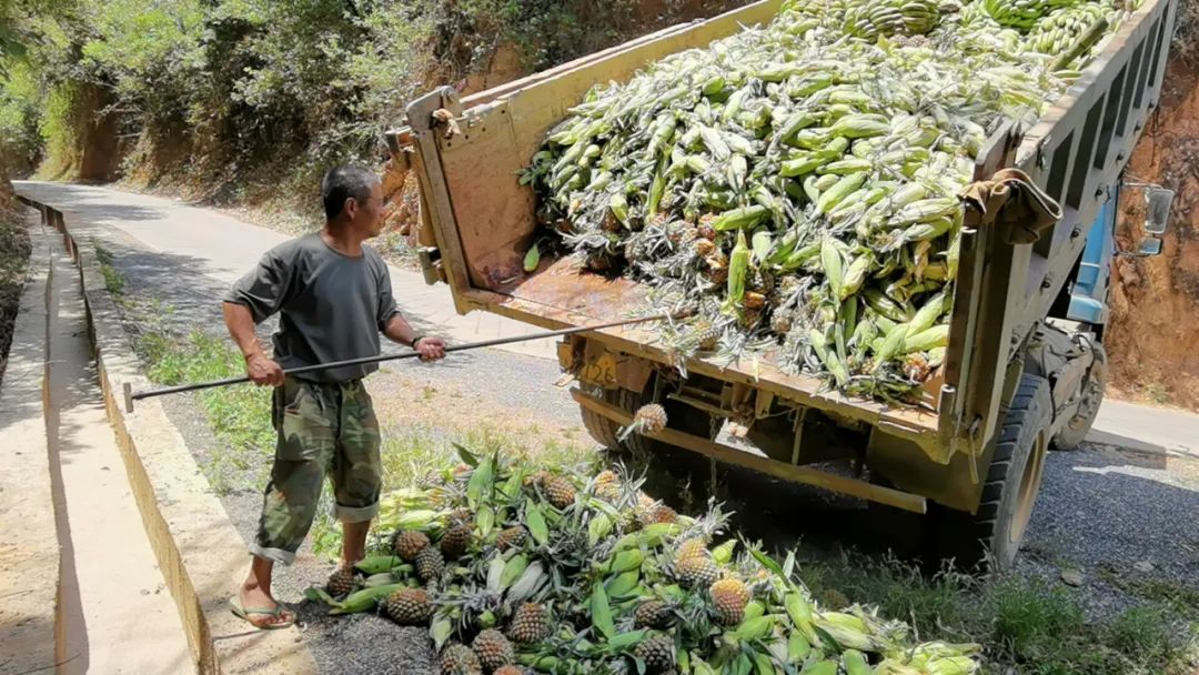 Pineapple for the elephant