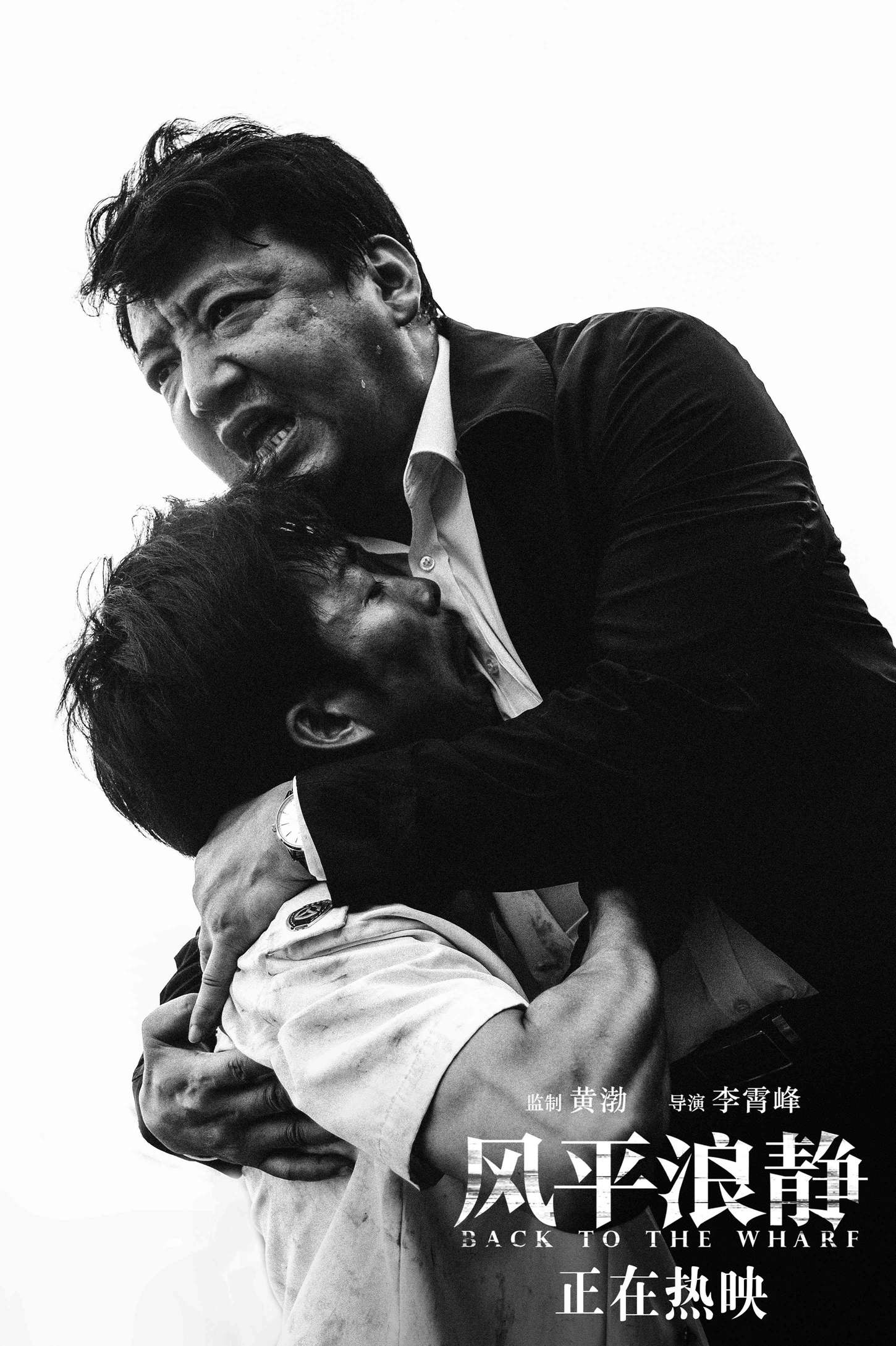 在电影《无名之辈》、电视剧《小欢喜》、电影《风平浪静》中（从上至下），王砚辉出演了多个不同类型的父亲形象。
