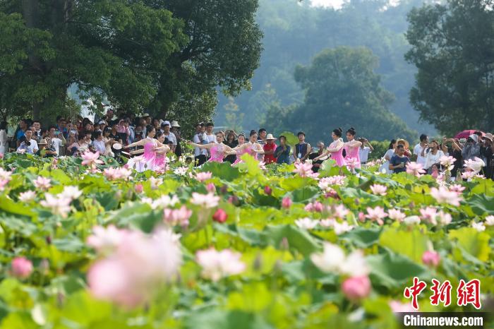 “中国莲花第一村”江西广昌姚西村莲花盛开游客纷至沓来