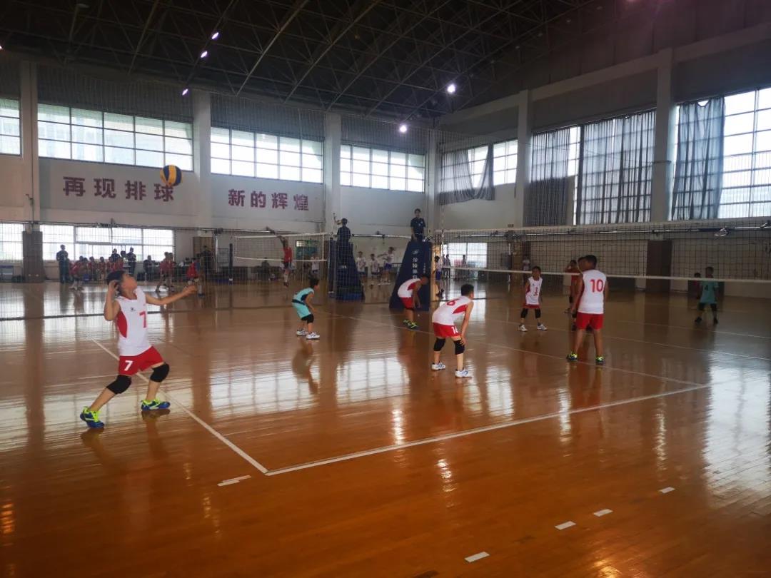 喜报！崂山区第三实验小学在青岛市第五届运动会排球项目中再创佳绩