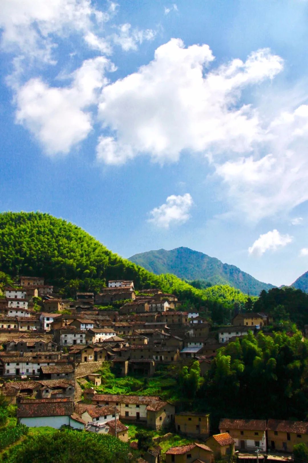 这座畲族风小城镇比西湖更适合赏荷