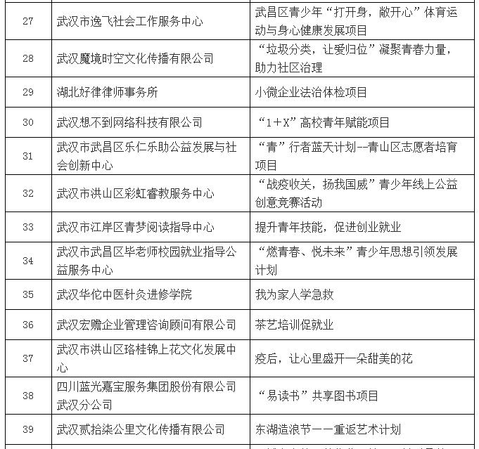 2020年武汉市“出彩青春”公益创投大赛专家评审结果公示