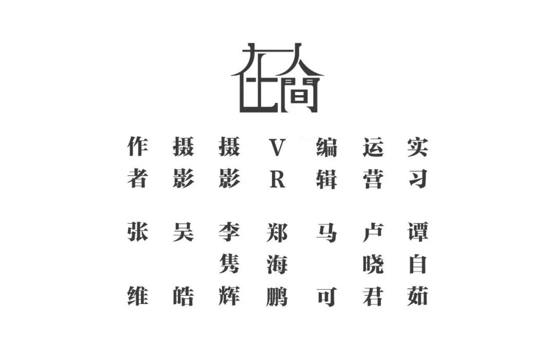 在人间|大象家族出走地村民:它们吃了我们二三十年