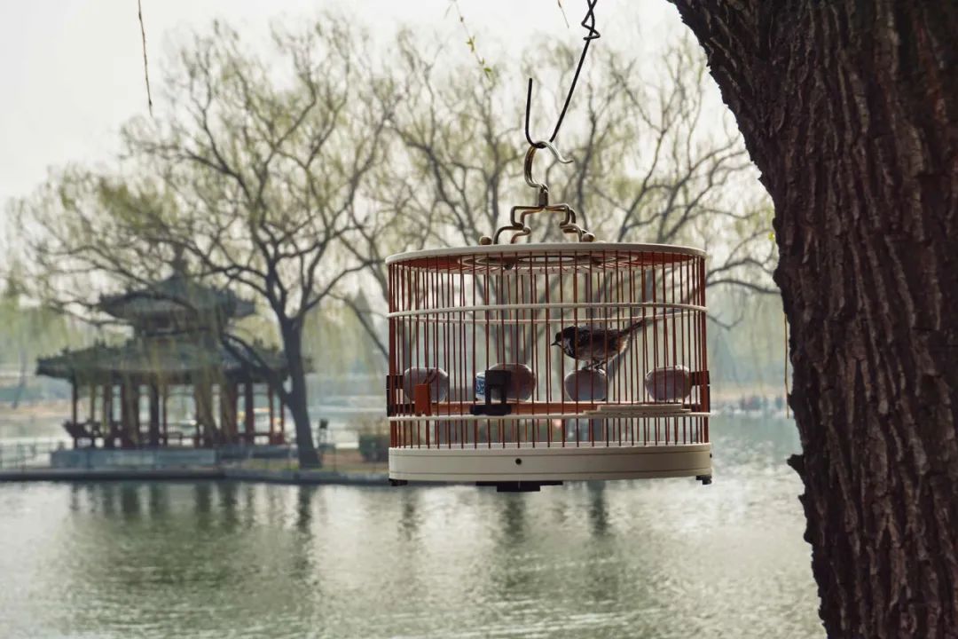 图虫创意 @Moonergong