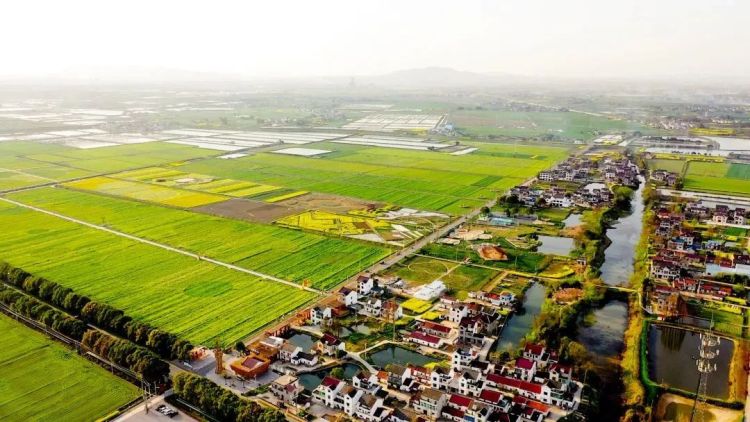 目前,全市共有溧陽李家園村,慶豐村,禮詩圩村,金壇仙姑村,武進城西