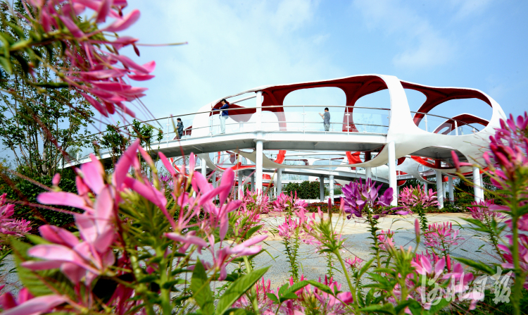 2021年7月4日拍摄的位于河北省唐山市开平区的唐山园博园一角。河北日报记者杜柏桦摄影报道