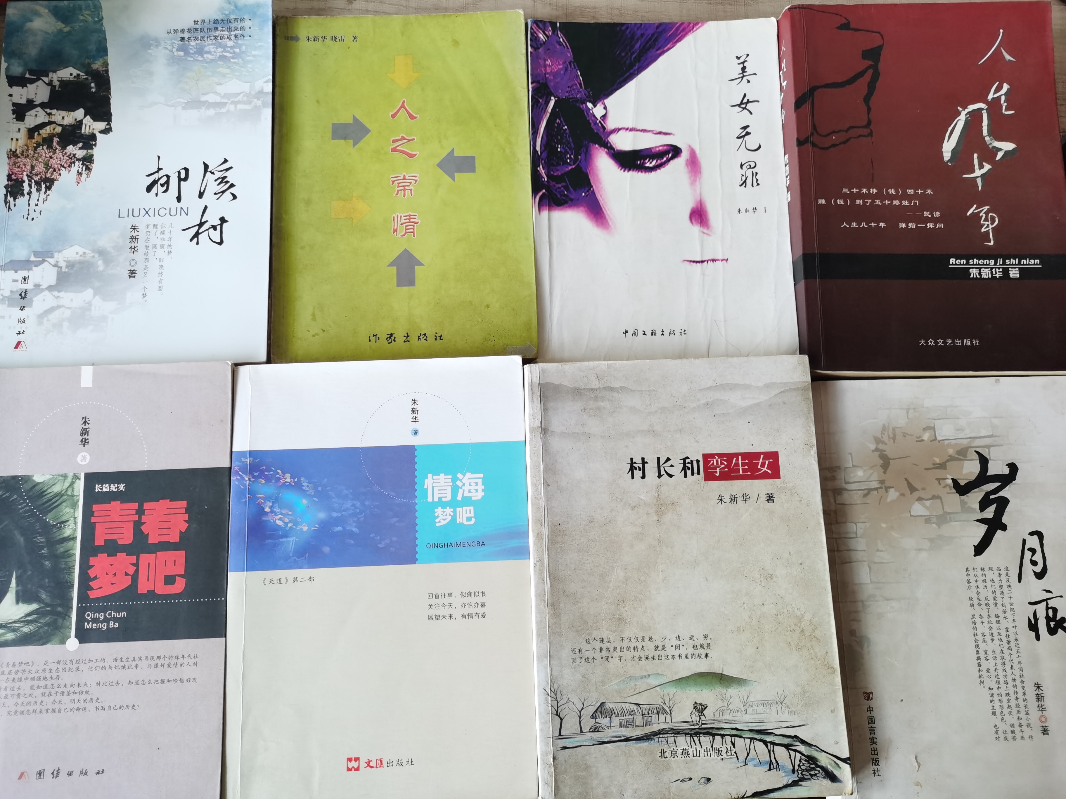 朱新华创作的八部长篇小说。