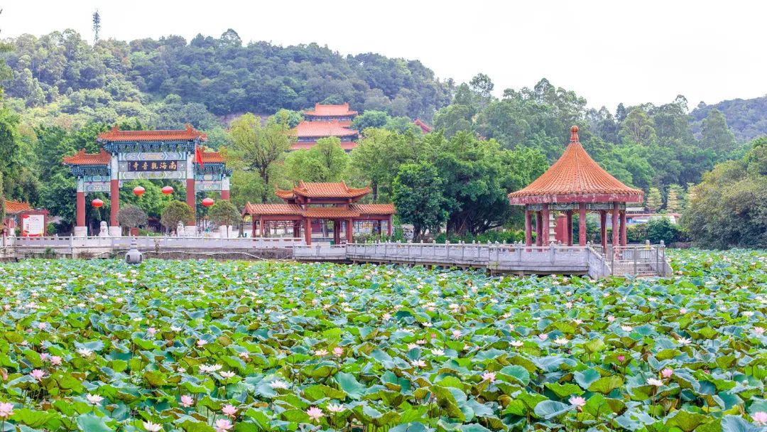 当年拿下全国首富县，它越来越能打了！！