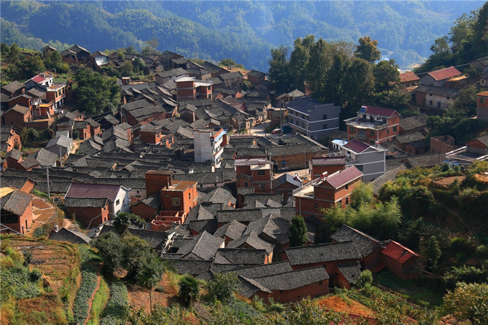 这座畲族风小城镇比西湖更适合赏荷