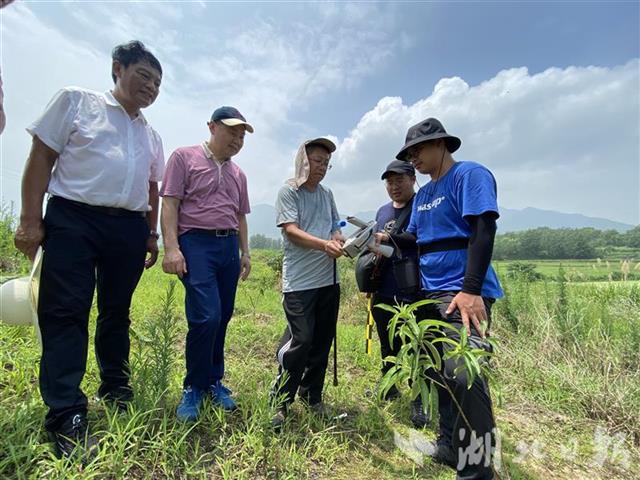 龚雪 摄)湖北日报讯(记者龚雪,通讯员王定兴)7月2日,阳新县白沙镇