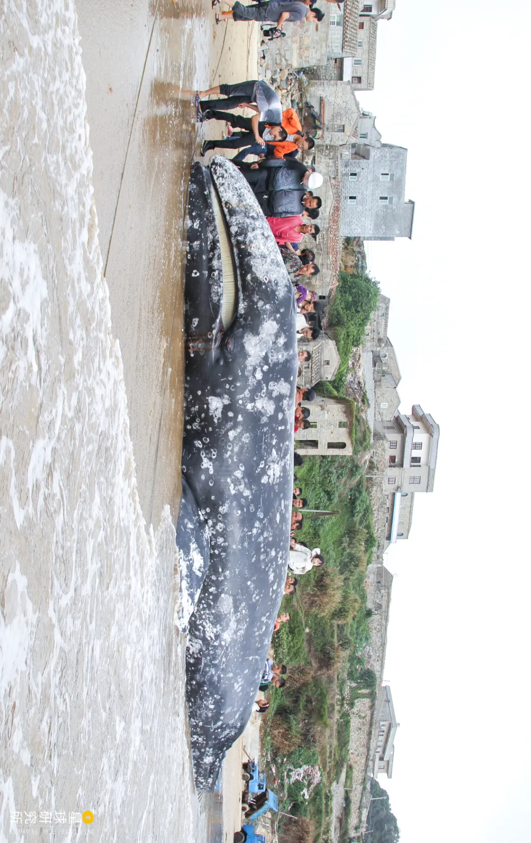 ����̨�庣Ͽ�ķ羰��ƽ̶�����