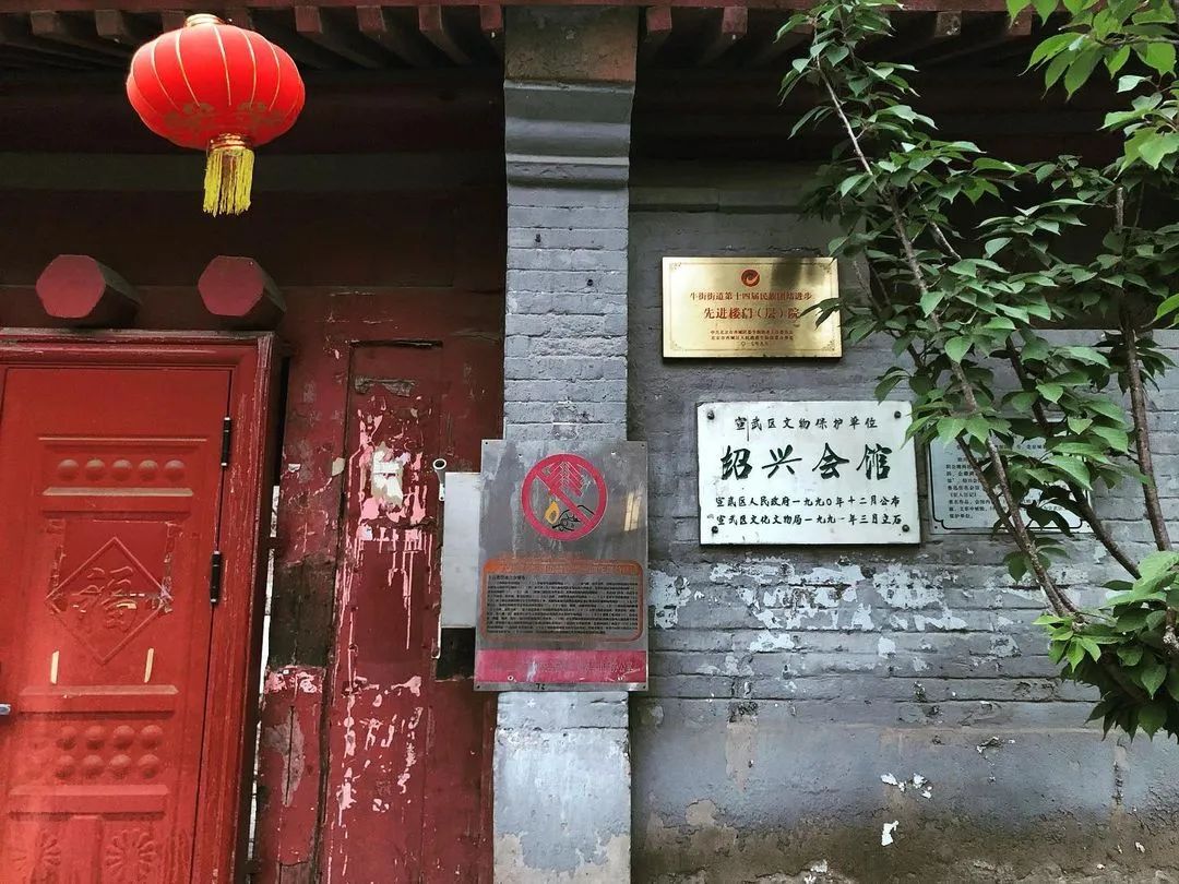 图片：instagram@gaorui0819