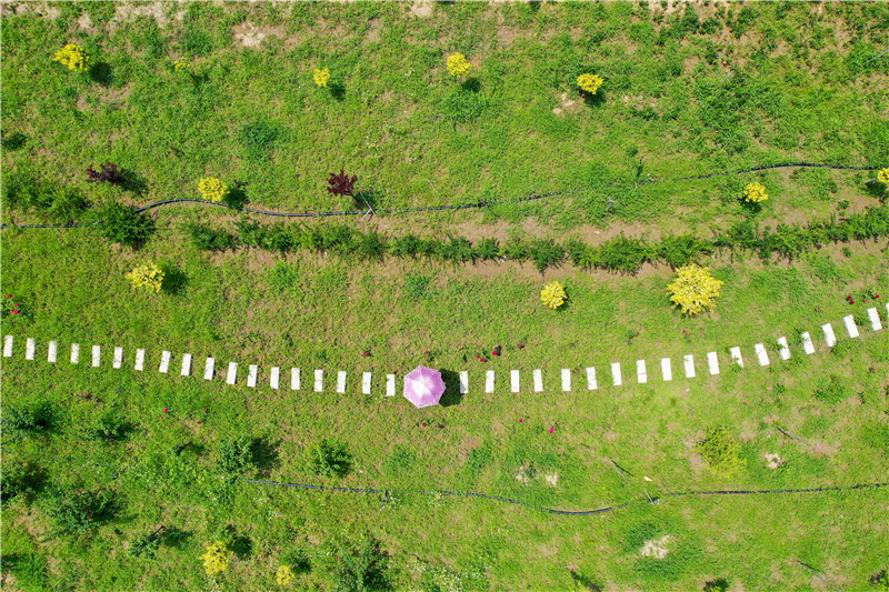 7月9日拍摄的唐山冀东启新水泥有限责任公司矿山生态修复项目区景色（无人机照片）。