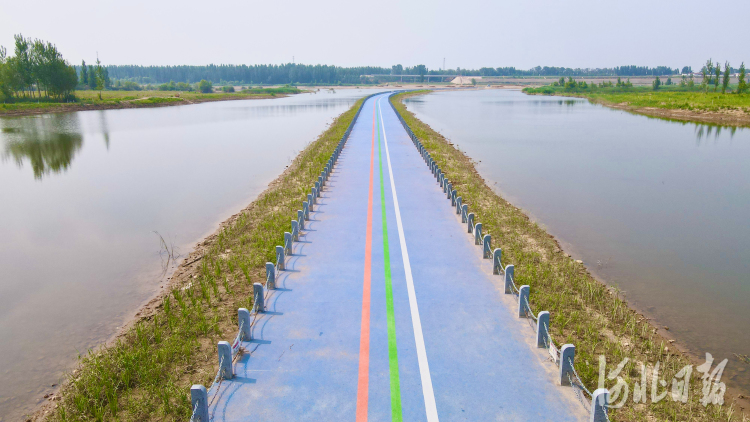2021年7月6日拍摄的河北省石家庄市滹沱河生态修复三期工程（鹿泉段）。河北日报记者史晟全摄影报道