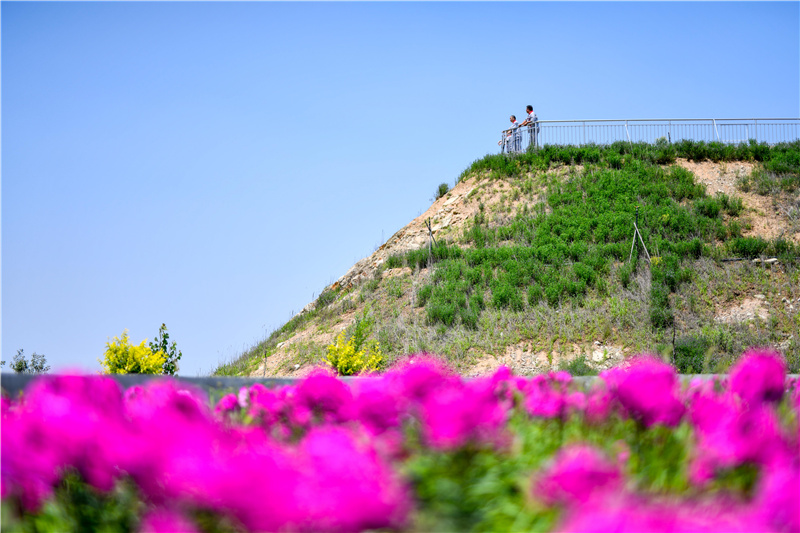 7月9日，工作人员在唐山冀东启新水泥有限责任公司矿山生态修复项目区内巡查山体修复情况。